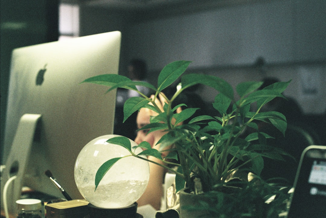 green jobs sustainability - tổng quan và phân tích | TalentHunter.asia